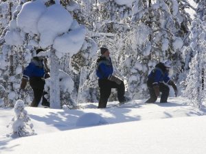 Rovaniemi_Schneeschuhwandern